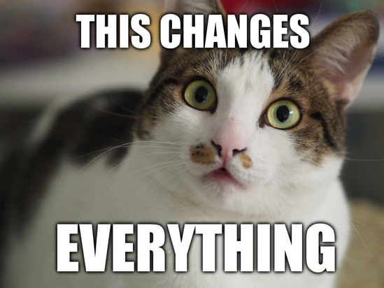 this change eveything cat